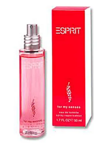 Imagen de Esprit for my Senses