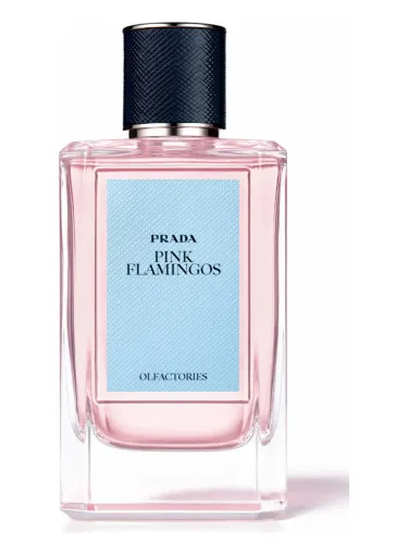 Imagen de Pink Flamingos