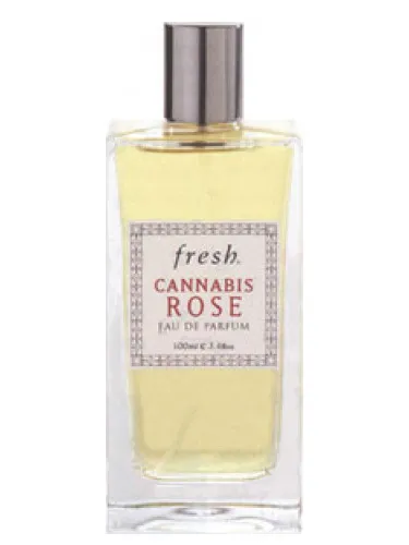 Imagen de Cannabis Rose