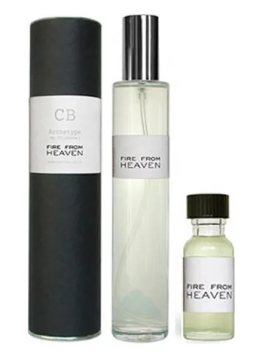 Imagen de Fire From Heaven
