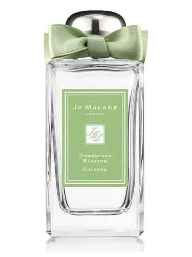 Colección Blossom Belle
