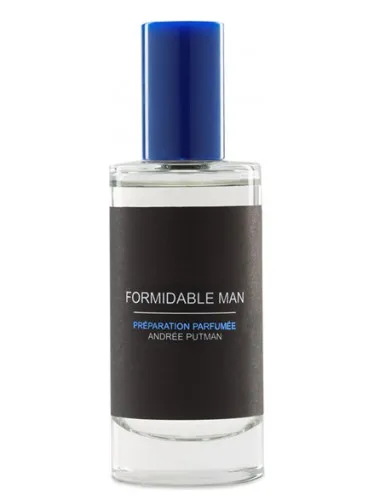 Imagen de Formidable Man