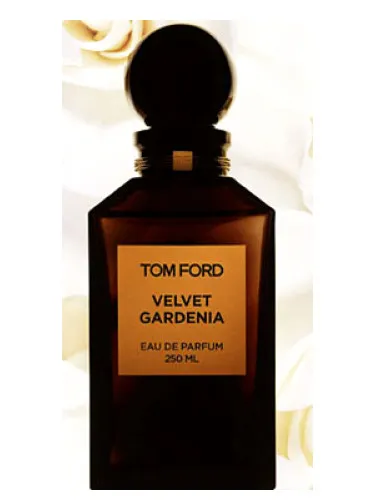 Imagen de Velvet Gardenia