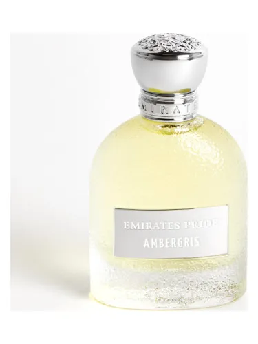 Imagen de Ambergris