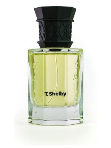 Imagen de T. Shelby
