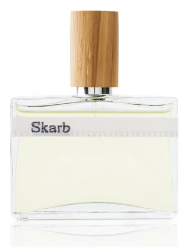 Imagen de Skarb