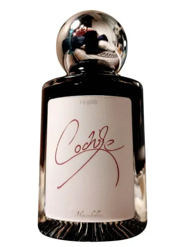 Imagen de Cochise