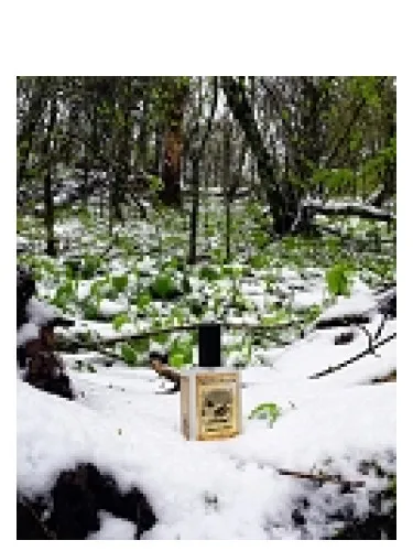 Imagen de Snowmint Mallow