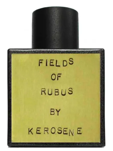Imagen de Fields of Rubus