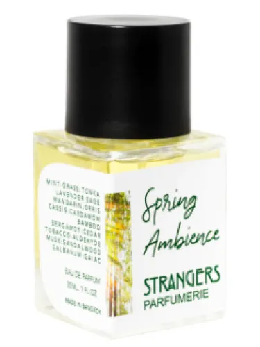 Perfume Spring Ambience de Strangers Parfumerie