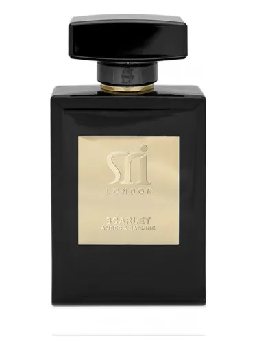 Imagen de Magenta Midnight Rose & Musk