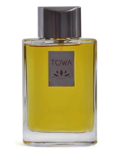 Imagen de TOWA