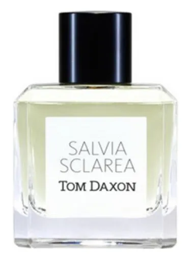 Imagen de Salvia Sclarea