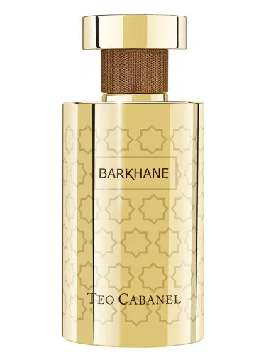 Imagen de Barkhane