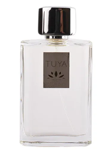 Imagen de Tuya