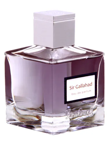 Imagen de Sir Gallahad