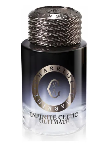 Imagen de Infinite Celtic Ultimate