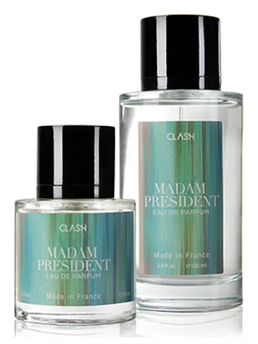 Imagen de Madam President