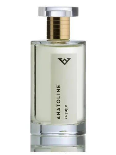 Imagen de Voyage