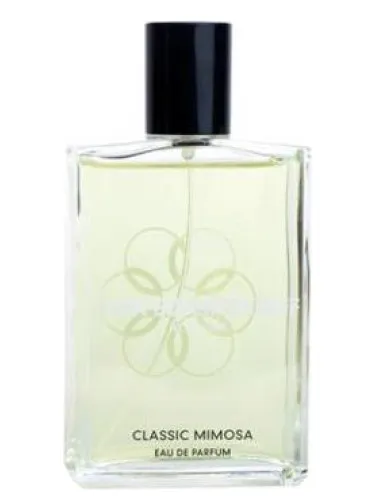 Imagen de Classic Mimosa