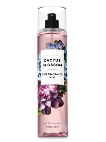 Imagen de Cactus Blossom