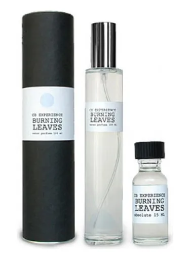 Imagen de Burning Leaves