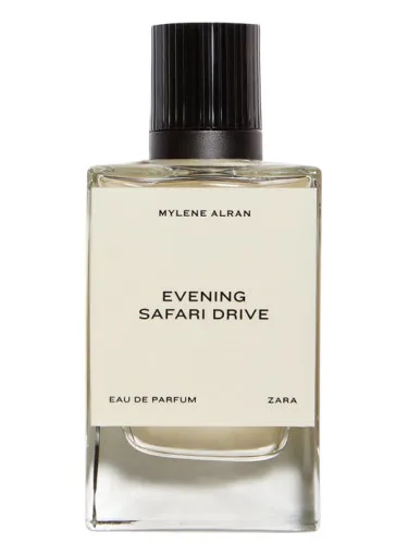 Imagen de Evening Safari Drive