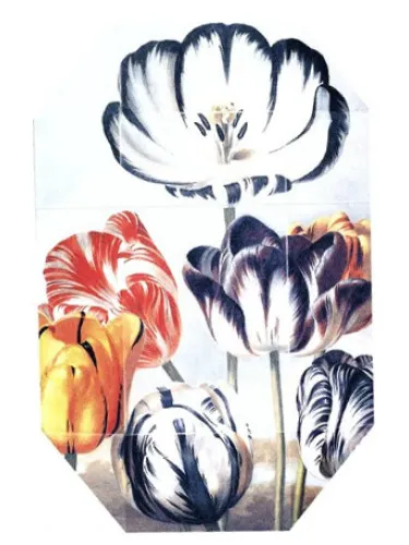 Imagen de Print Collection Stella 02 (2011)