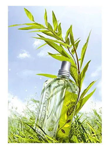 Imagen de Verbena Sun