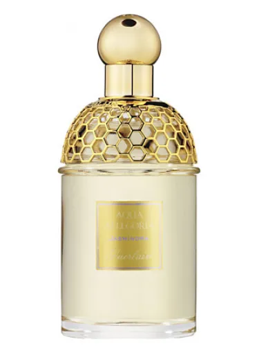 Imagen de Aqua Allegoria Jasminora