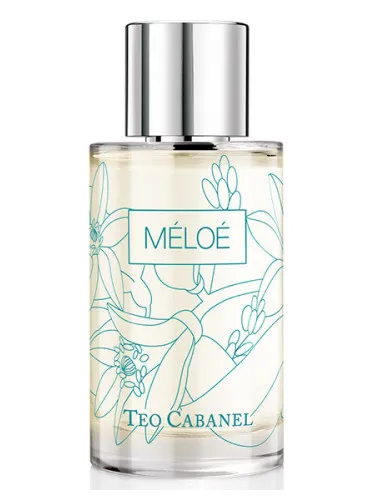 Imagen de Meloe