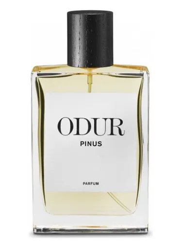 Imagen de Pinus