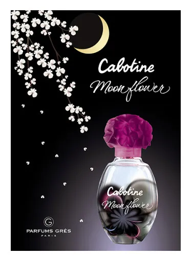 Imagen de Cabotine Moon Flower