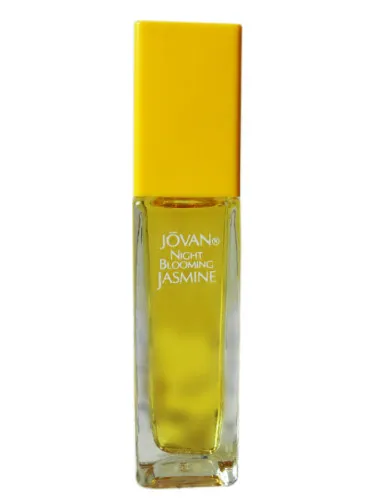 Imagen de Night Blooming Jasmine