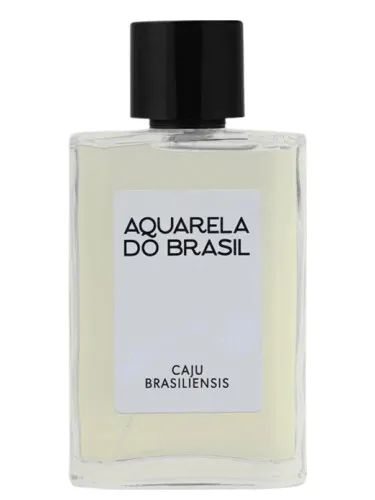 Imagen de Caju Brasiliensis