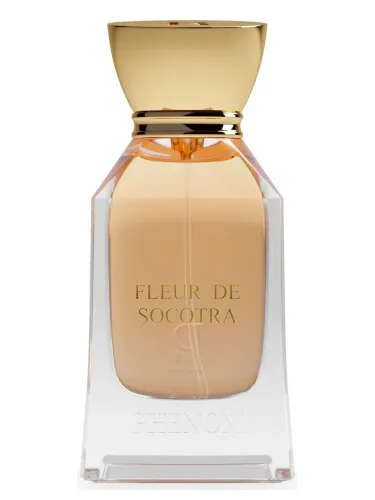 Imagen de Fleur de Socotra