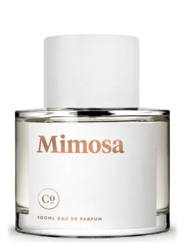 Imagen de Mimosa
