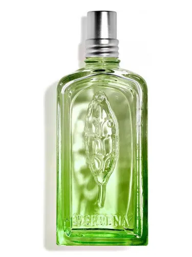 Imagen de Verveine Cactus