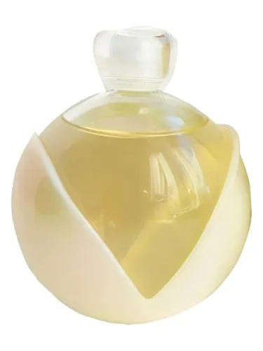 Perfume Noa Gold de Cacharel