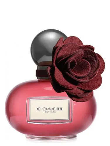 Imagen de Poppy Wild Flower