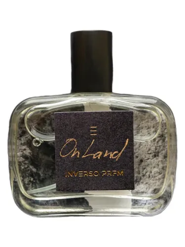 Imagen de On Land