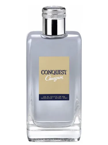 Imagen de Conquest