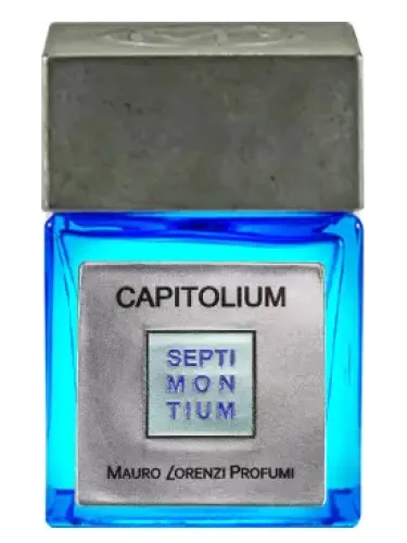 Imagen de Capitolium