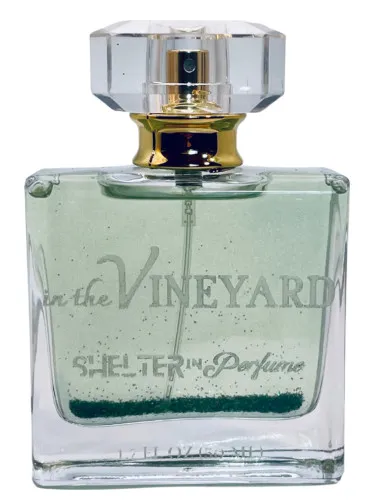 Imagen de In The Vineyard