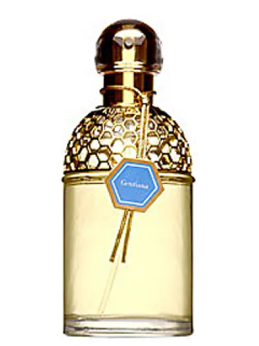 Imagen de Aqua Allegoria Gentiana