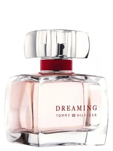 Imagen de Dreaming