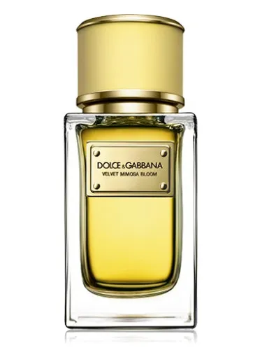 Perfume Velvet Mimosa Bloom de Dolce&Gabbana