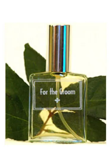 Perfume For the Groom de DSH Perfumes