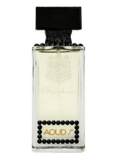 Imagen de Aoud No 3