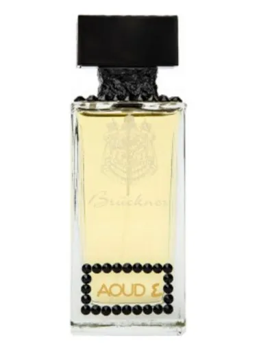 Imagen de Aoud No 4